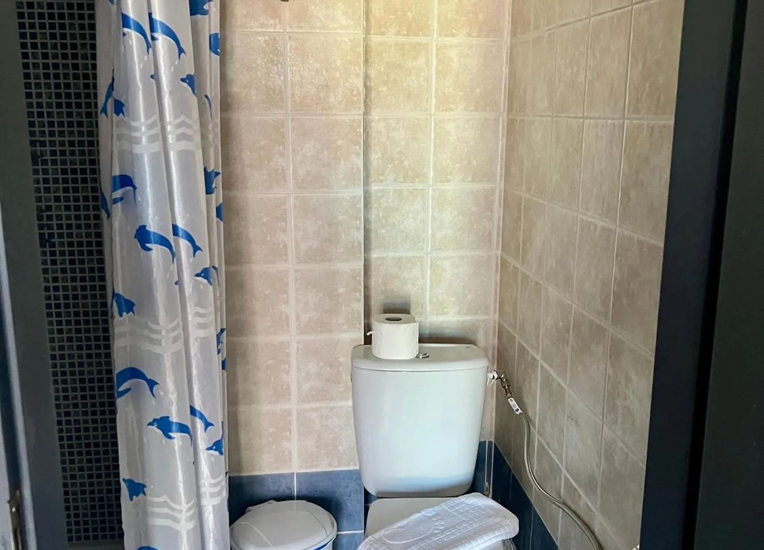 酒店 Pelekan Rooms And Apartments Athina 33 佩科霍里